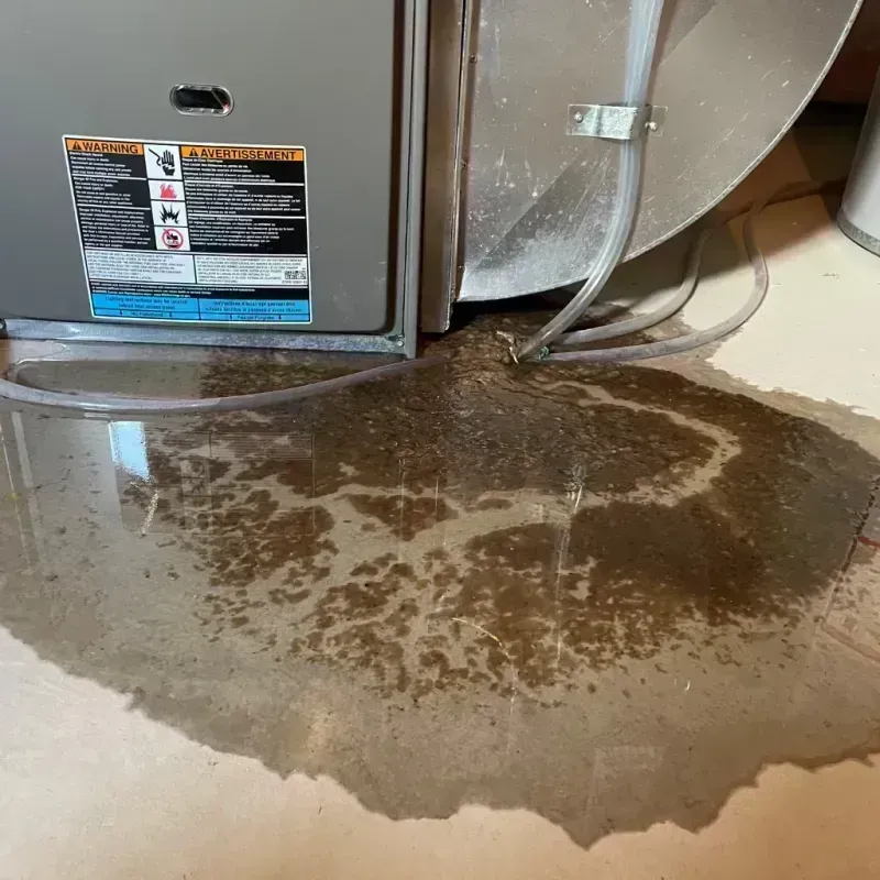 Appliance Leak Cleanup in Loomis, CA